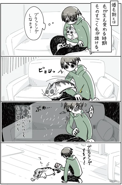 ブラッシングしなきゃ…