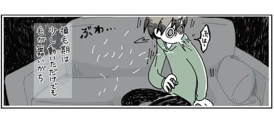 換毛期は毛が舞いがち