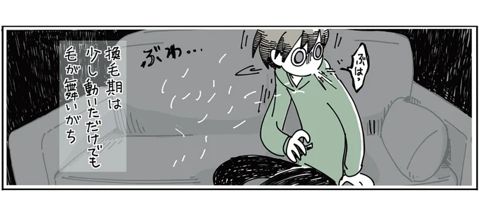 換毛期は毛が舞いがち