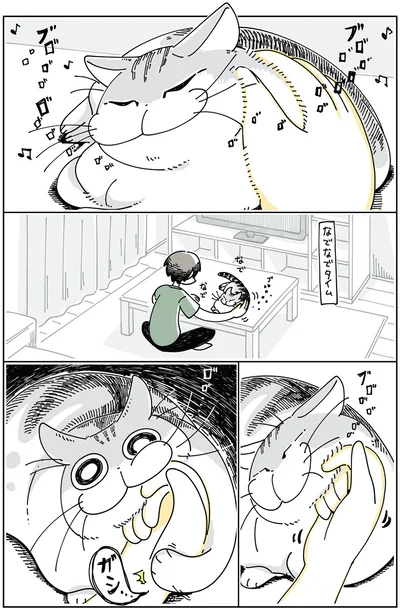 ネコが噛んできた