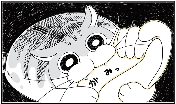 猫もご機嫌のなでなでタイム。しかし突然の噛み、撫で方が悪かったのかな？