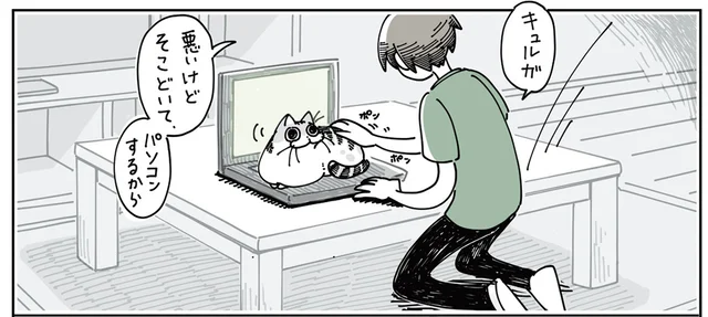 悪いけどどいて！ キーボードの上がお気に入りの猫が打った文字にほっこり