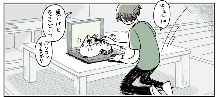 悪いけどどいて！ キーボードの上がお気に入りの猫が打った文字にほっこり