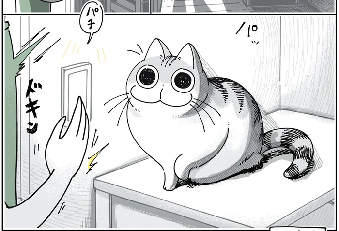 うわ、いたの!? 思ってもいないところにいる猫にびっくり＆ほっこり