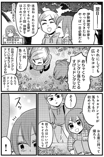 ドングリが落ちてるの初めて見た