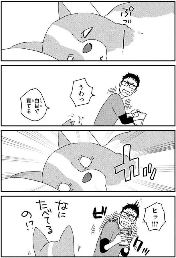 なにたべてるの！？