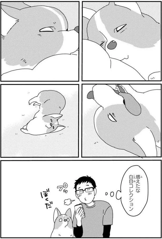 増えたな　白目コレクション