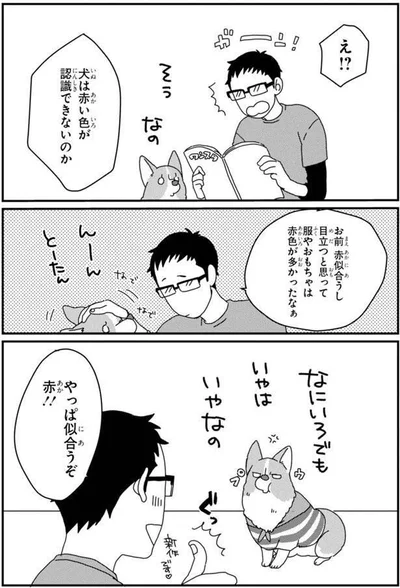 やっぱ似合うぞ赤！！