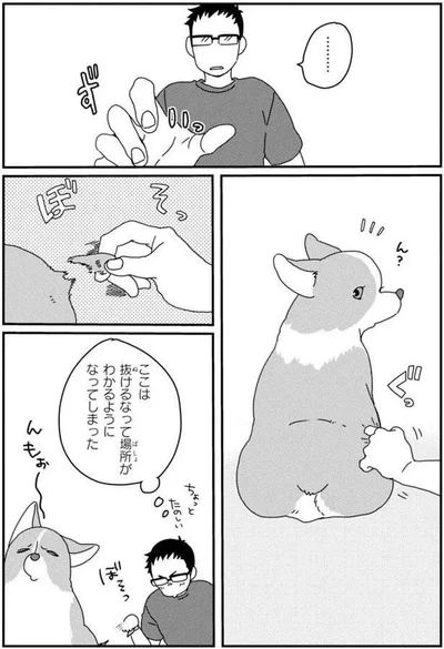 ここは抜けるなって場所がわかるようになってしまった