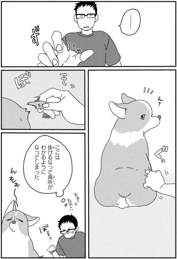 ここは抜けるなって場所がわかるようになってしまった