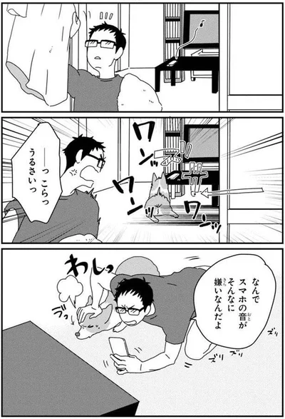 っこらっうるさいっ