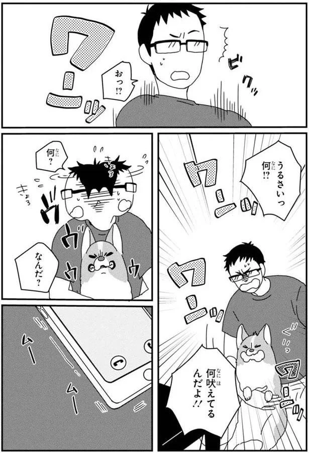 何吠えてるんだよ！！