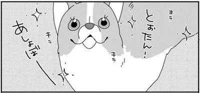 本当に同じ犬？オンとオフ、2つの顔を持つワンコ