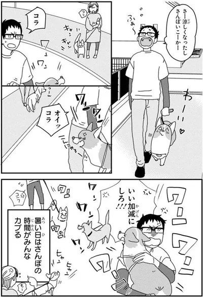 さー　涼しくなったしさんぽいこーかー