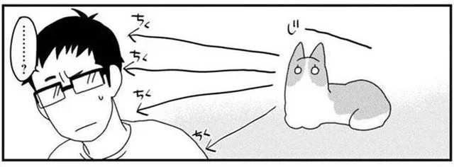 視線を感じて振り返ってみると？うちのワンコのすごい特技