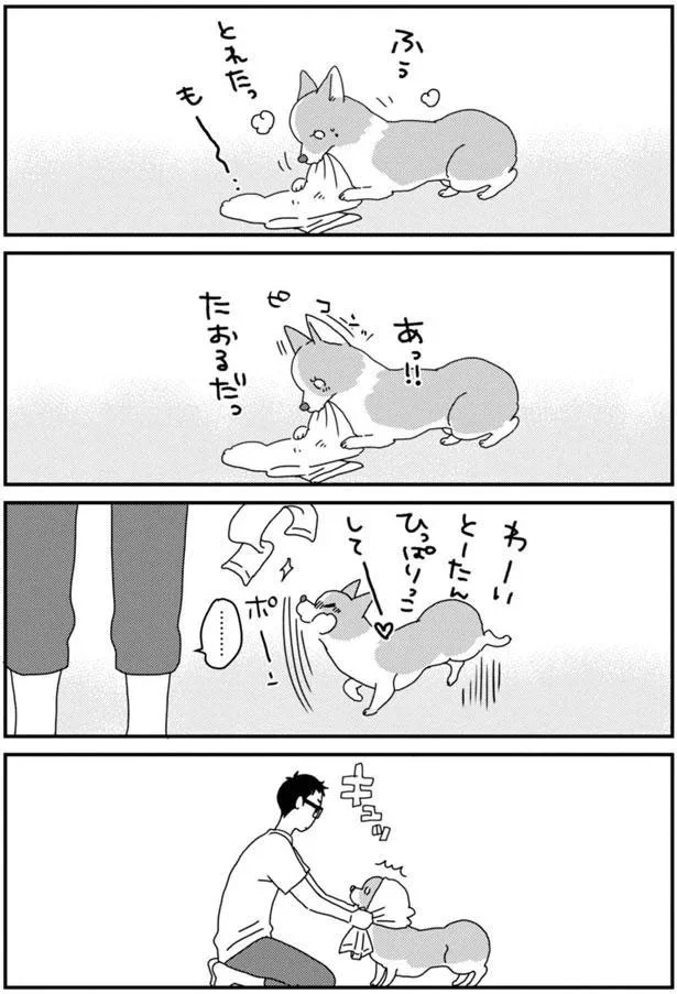 わーい とーたん ひっぱりっこしてー