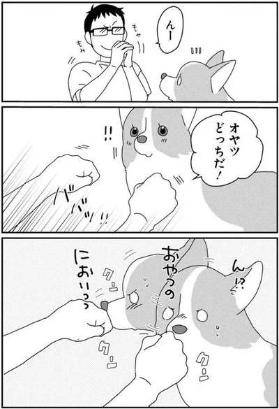 オヤツどっちだ！