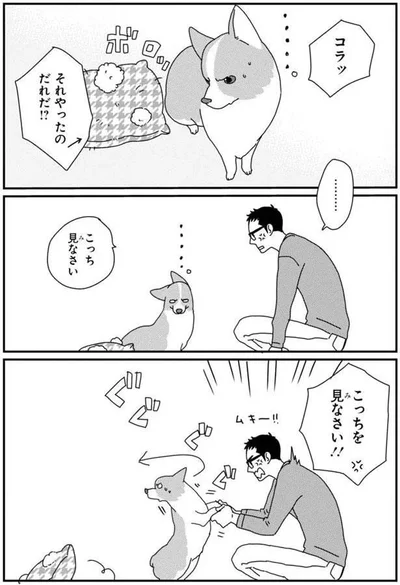 こっちを見なさい！！