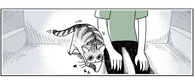 猫が隣に座りに来てくれると嬉しい。でも逆の立場だと上手くいかないのはなぜ？