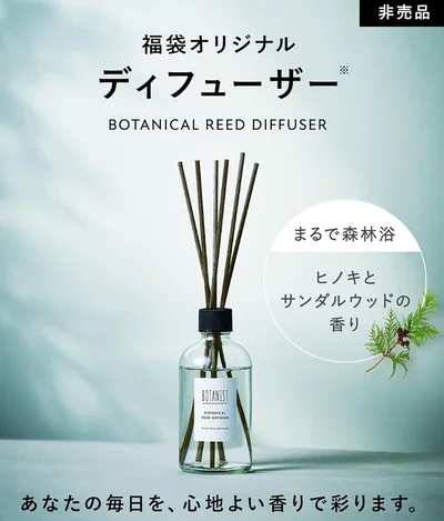 【 2026年 福袋 】 BOTANIST ボタニスト 福袋 シャンプー トリートメント ボディーソープ アウトバス ディフーザー 10点セット モイスト