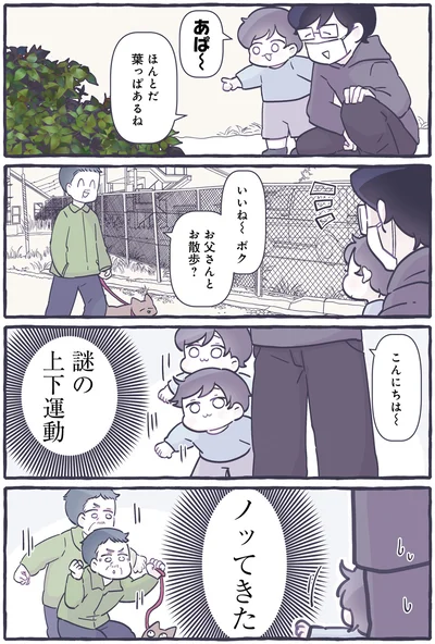 謎の上下運動