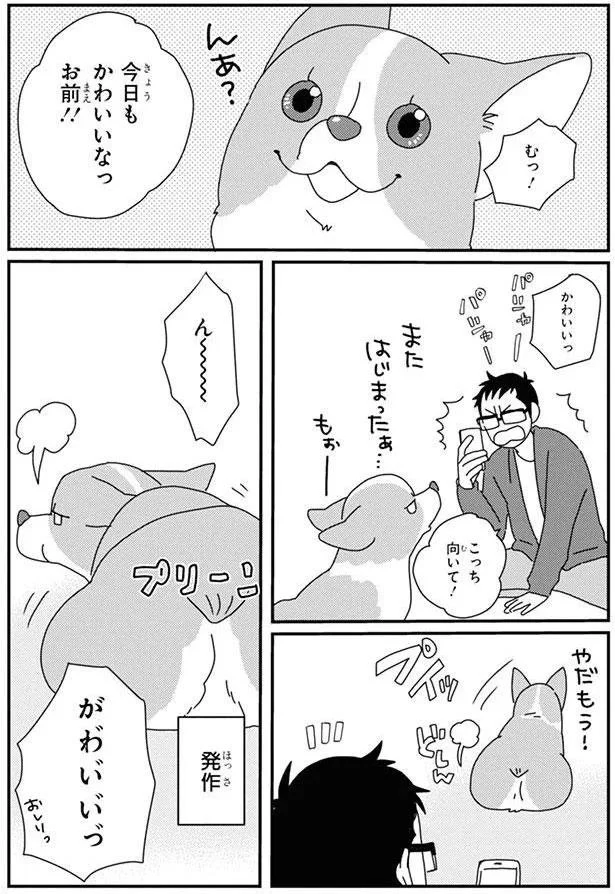 『あしょんでよッ〜うちの犬ログ〜6』より