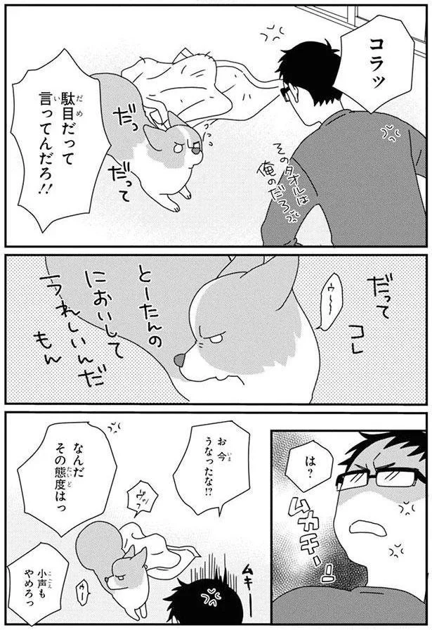 『あしょんでよッ〜うちの犬ログ〜6』より