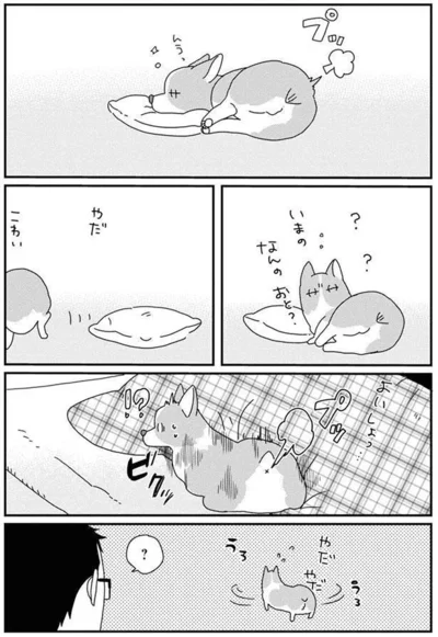 『あしょんでよッ〜うちの犬ログ〜6』より