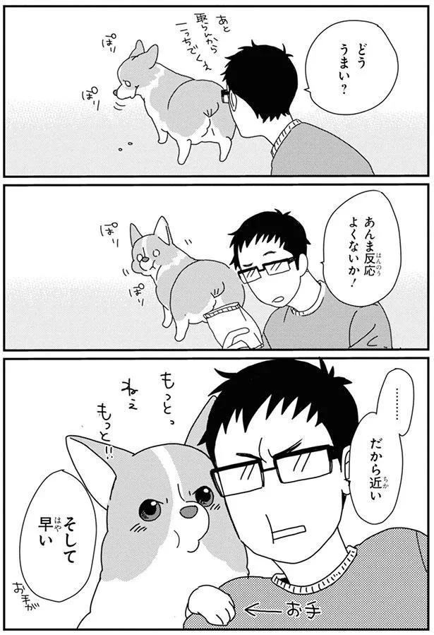 『あしょんでよッ〜うちの犬ログ〜6』より