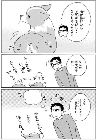 『あしょんでよッ〜うちの犬ログ〜6』より