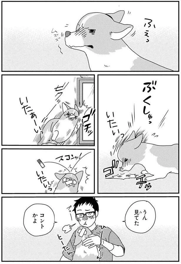 『あしょんでよッ〜うちの犬ログ〜6』より