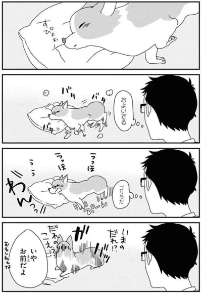 『あしょんでよッ〜うちの犬ログ〜6』より
