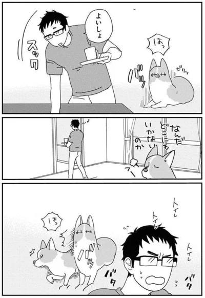 『あしょんでよッ〜うちの犬ログ〜6』より