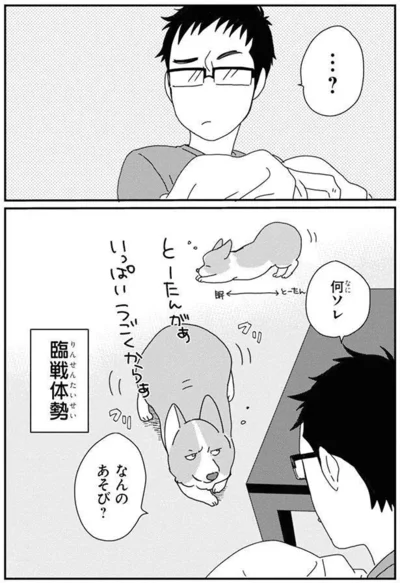 『あしょんでよッ〜うちの犬ログ〜6』より
