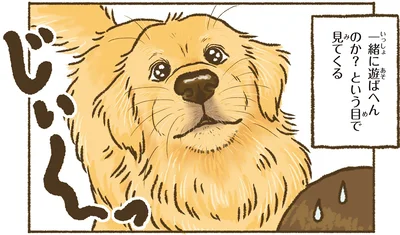 一緒に遊ばへんのか？