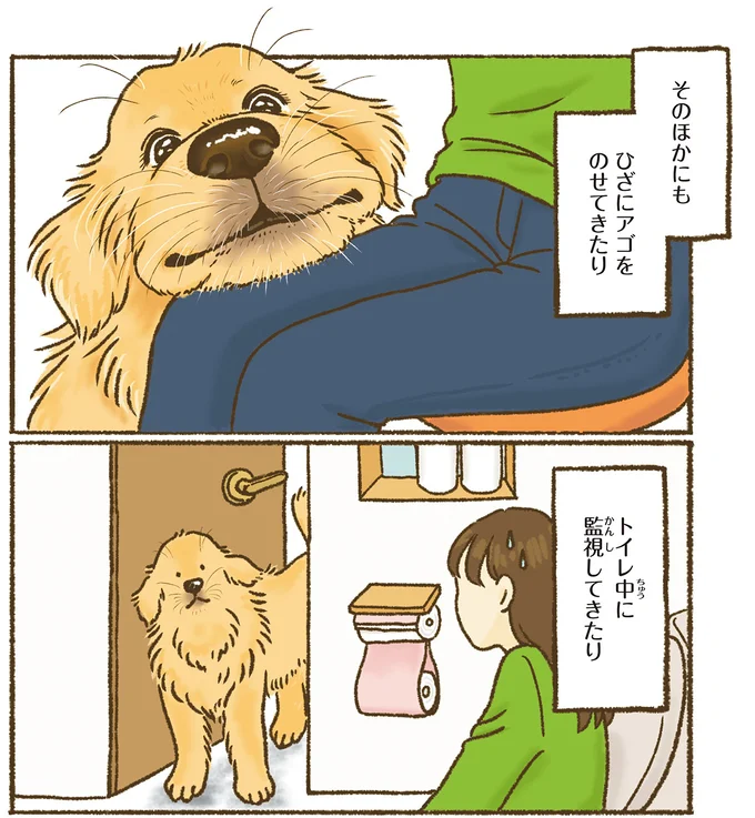 そのほかにも