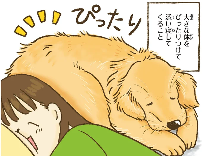 大きな体をぴったりくっつけて…