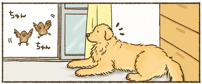 『今日もゴールデンレトリバーに癒されて』より