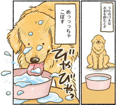 『今日もゴールデンレトリバーに癒されて』より