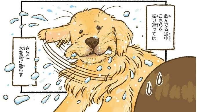 『今日もゴールデンレトリバーに癒されて』より