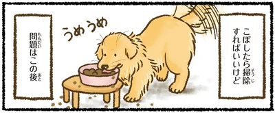 『今日もゴールデンレトリバーに癒されて』より