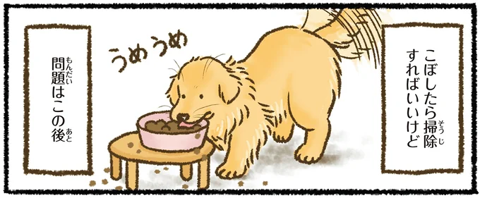 『今日もゴールデンレトリバーに癒されて』より