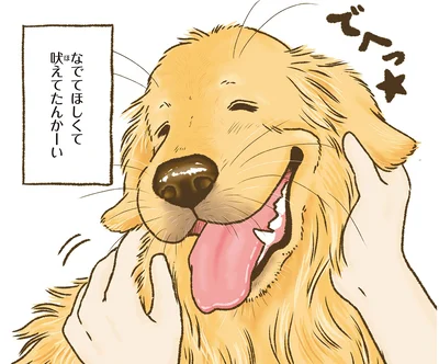 『今日もゴールデンレトリバーに癒されて』より