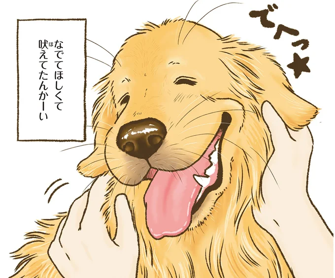 『今日もゴールデンレトリバーに癒されて』より