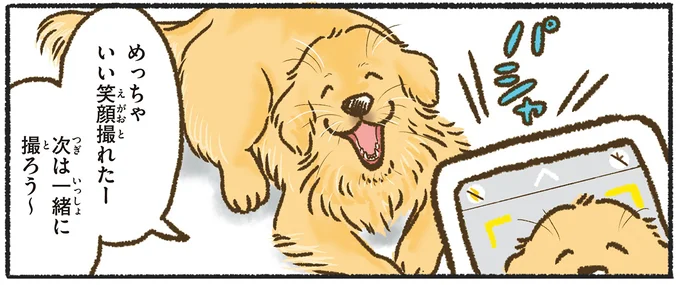 『今日もゴールデンレトリバーに癒されて』より