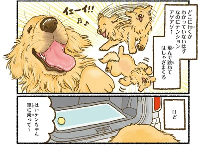 『今日もゴールデンレトリバーに癒されて』より