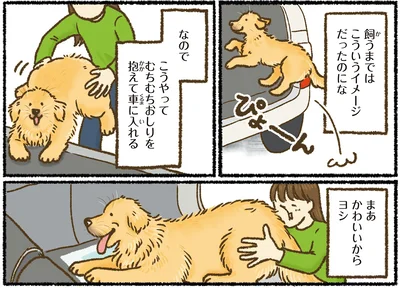 『今日もゴールデンレトリバーに癒されて』より