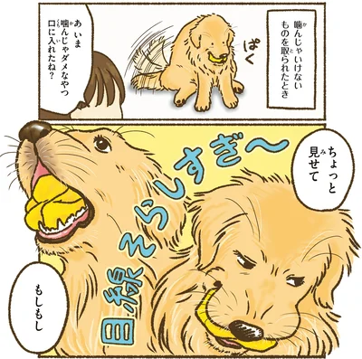『今日もゴールデンレトリバーに癒されて』より