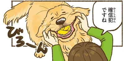 『今日もゴールデンレトリバーに癒されて』より