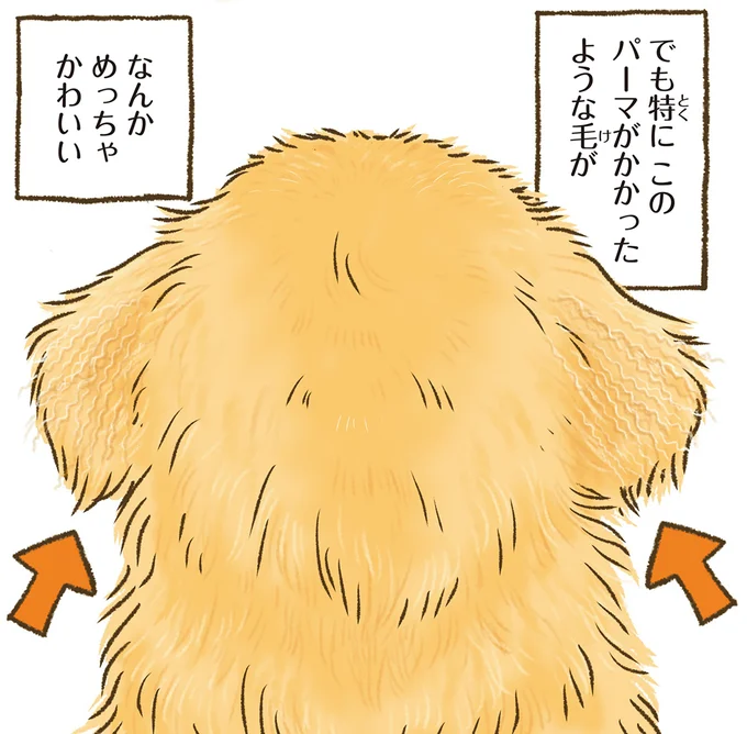 『今日もゴールデンレトリバーに癒されて』より